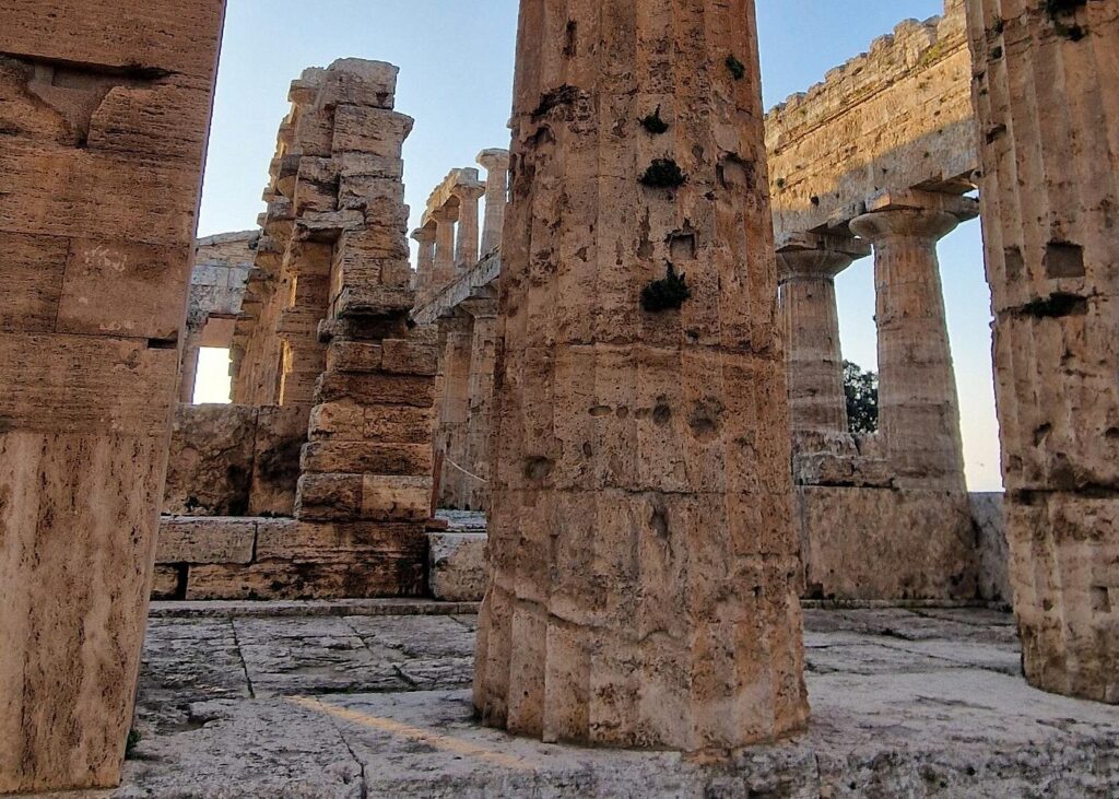 Paestum Archeological Park and Museum Walk - Enzo Masullo Tour Guide tours